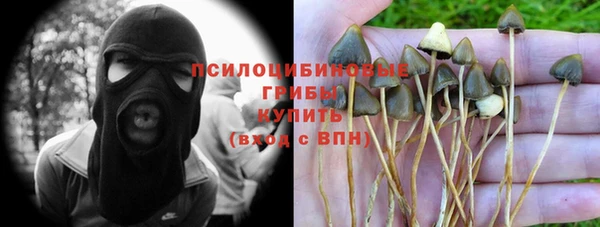мяу мяу кристалл Алексин