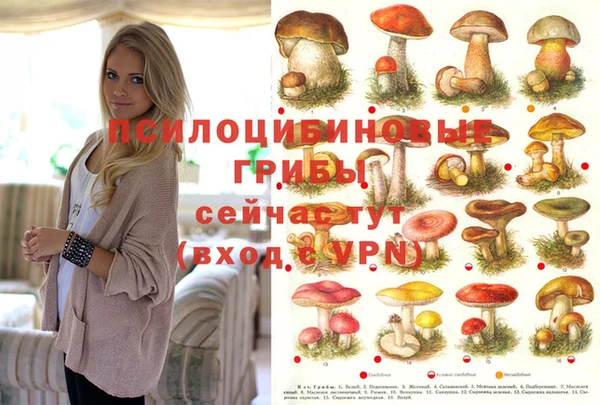 мяу мяу кристалл Алексин